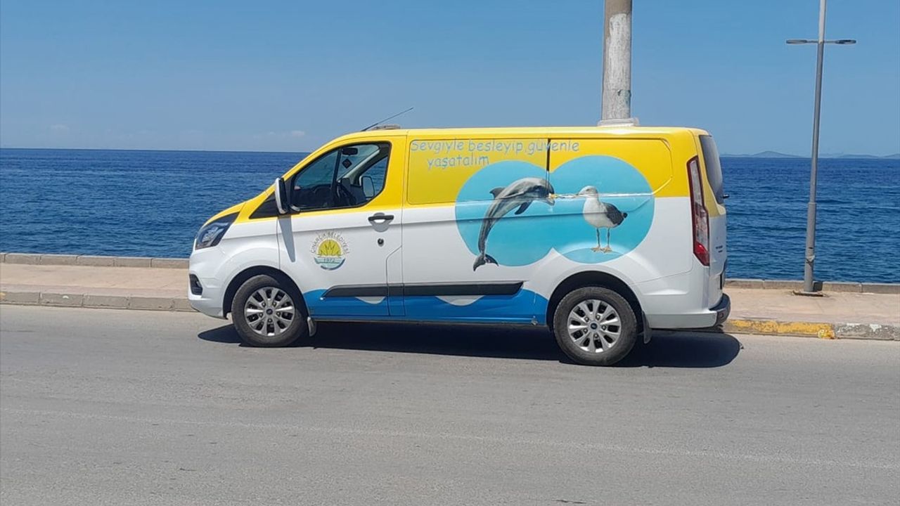 Yalova'da Yaralı Su Samuru Tedavi Altına Alındı