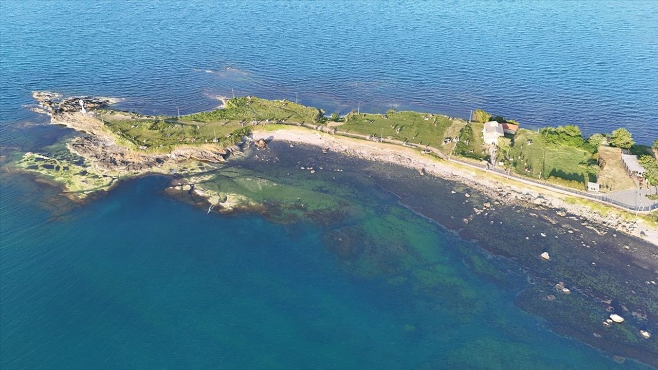 Yason Burnu, Ordu'nun Gözdesi Olmaya Devam Ediyor