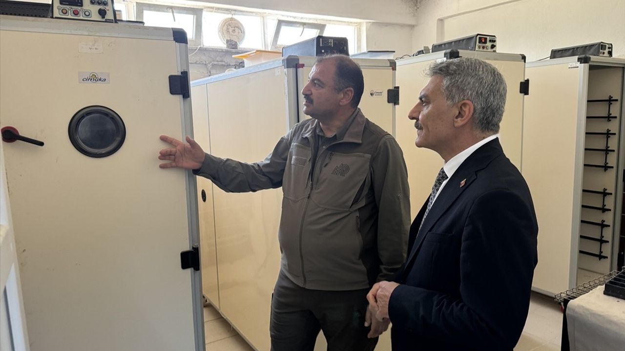 Yozgat’ta 18 Yılda 216 Bin Kınalı Keklik Üretimi Gerçekleşti