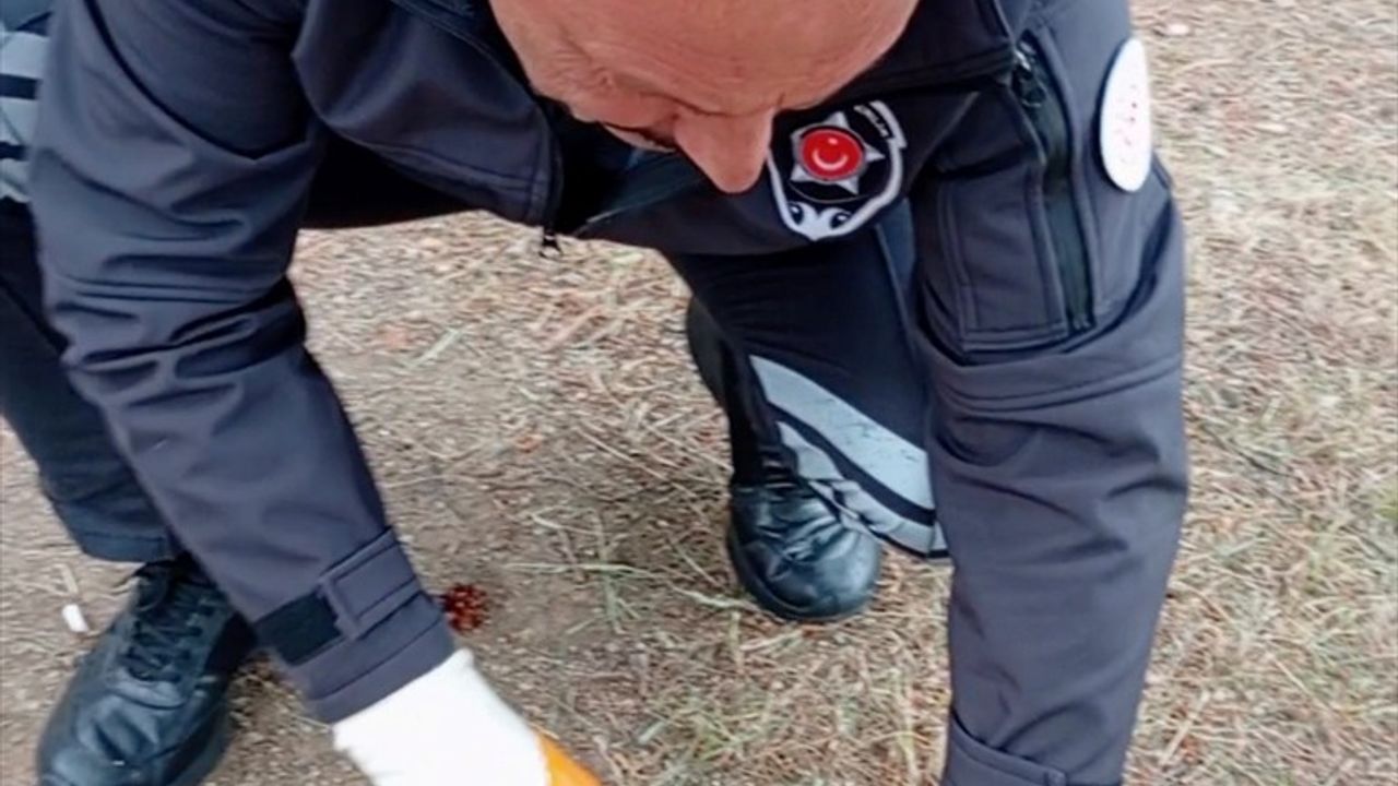 Yozgat'ta Kafası Konserve Kutusuna Sıkışan Kedi Kurtarıldı