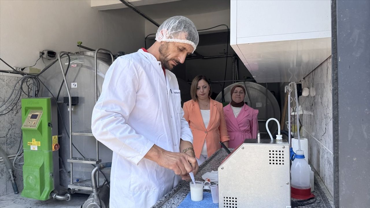 Zonguldak'ta TKDK ile Süt Toplama Kapasitesi 3,4 Milyon Liralık Hibe ile Artırıldı
