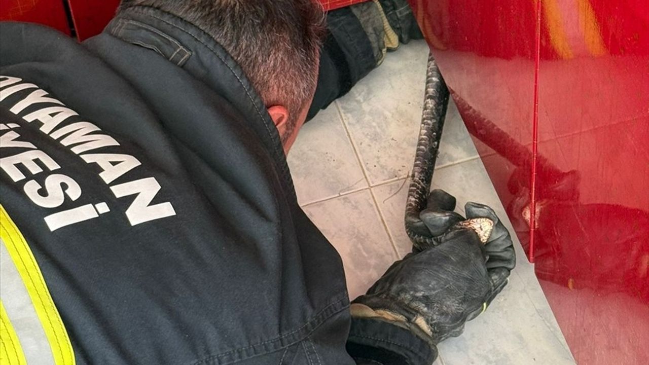 Adıyaman'da Mutfakta Yılan Alarmı: İtfaiye Ekipleri Müdahale Etti