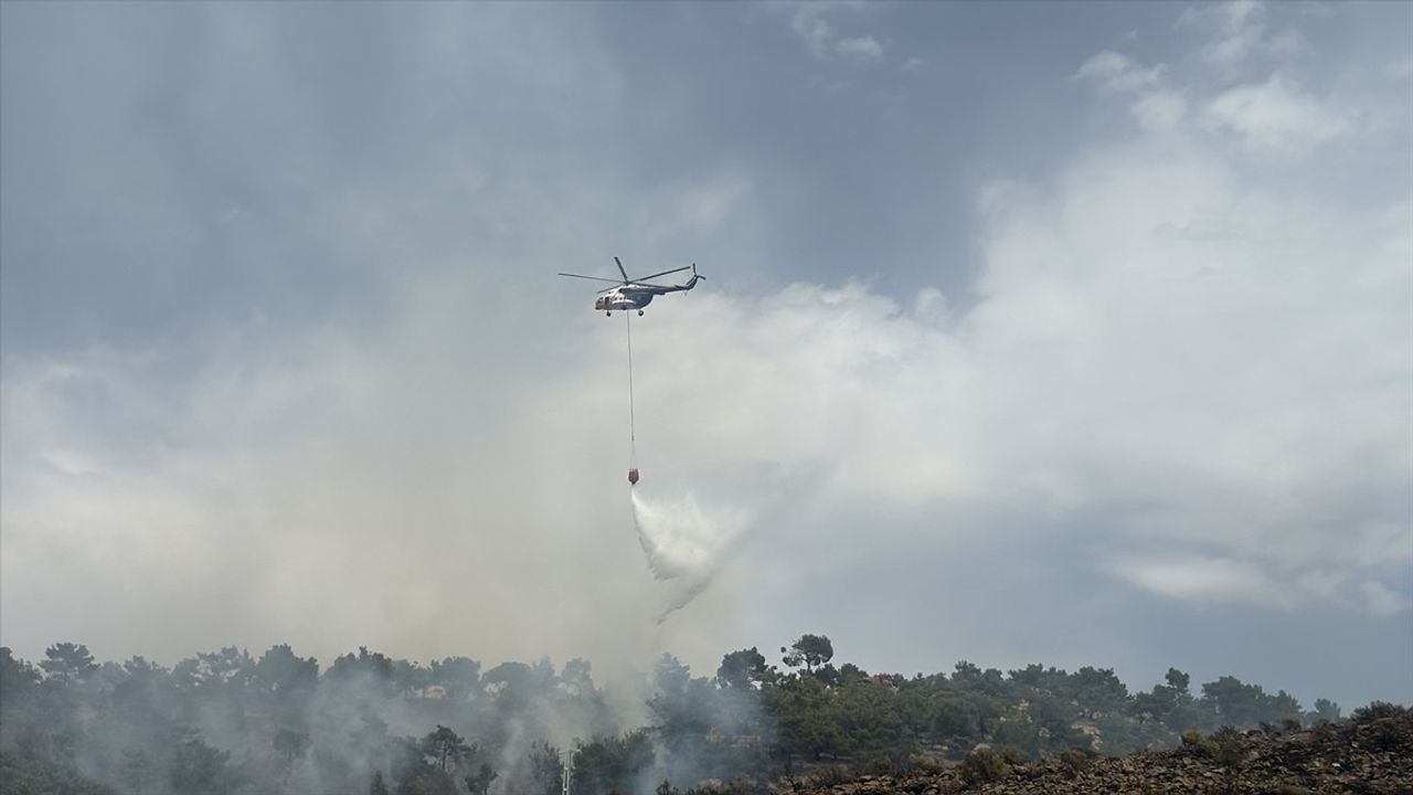 Adıyaman'daki Orman Yangını Kontrol Altına Alındı