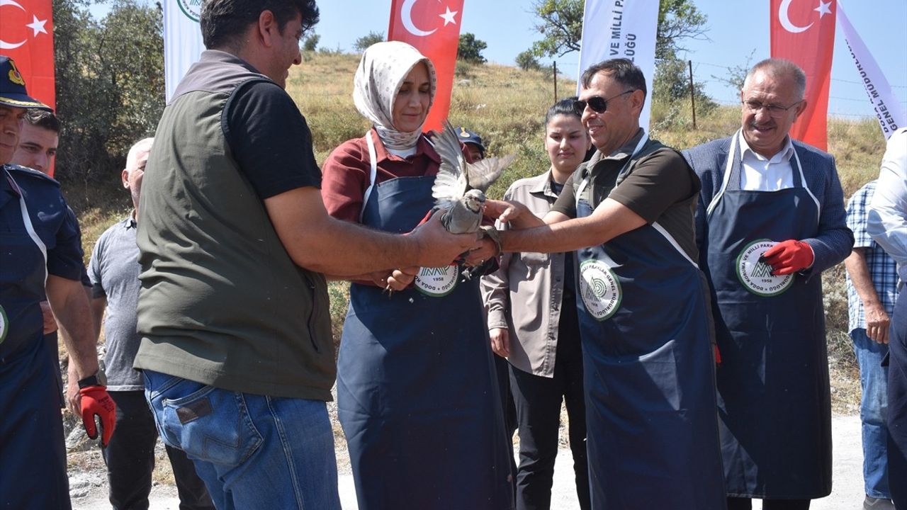 Afyonkarahisar'da 1000 Kınalı Keklik Doğaya Salındı