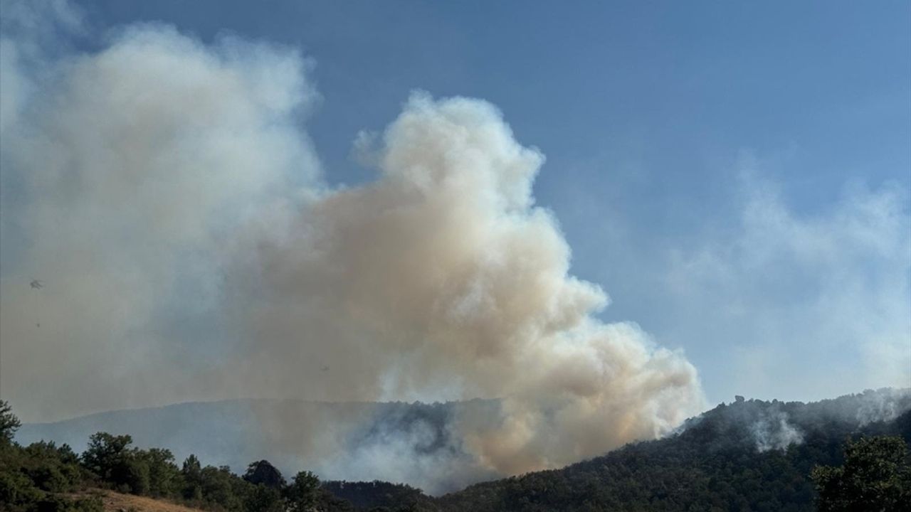 Afyonkarahisar'daki Orman Yangınına Hava ve Kara Mücadelesi