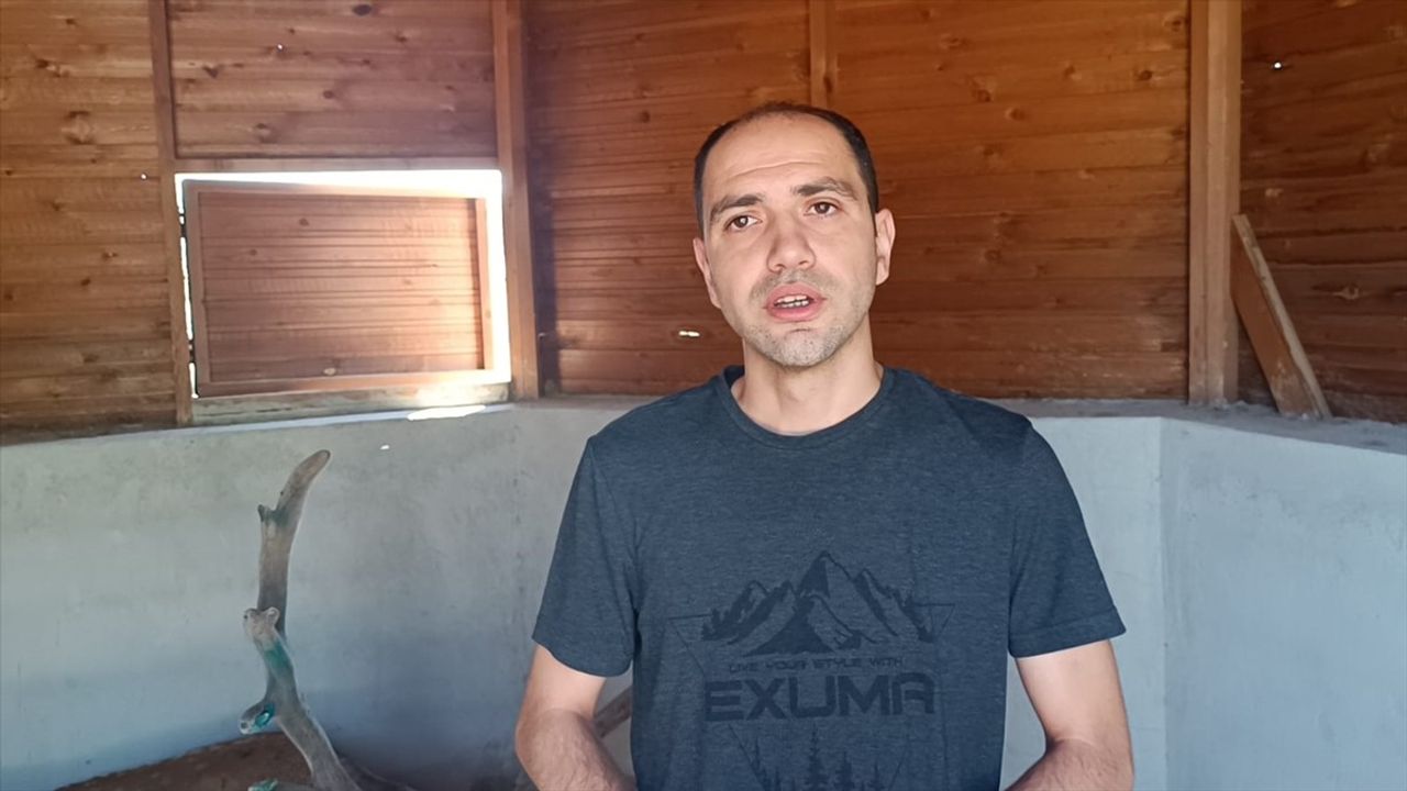 Afyonkarahisar'ın Yeni Maskotu: Kızıl Geyik Hayvanat Bahçesinde