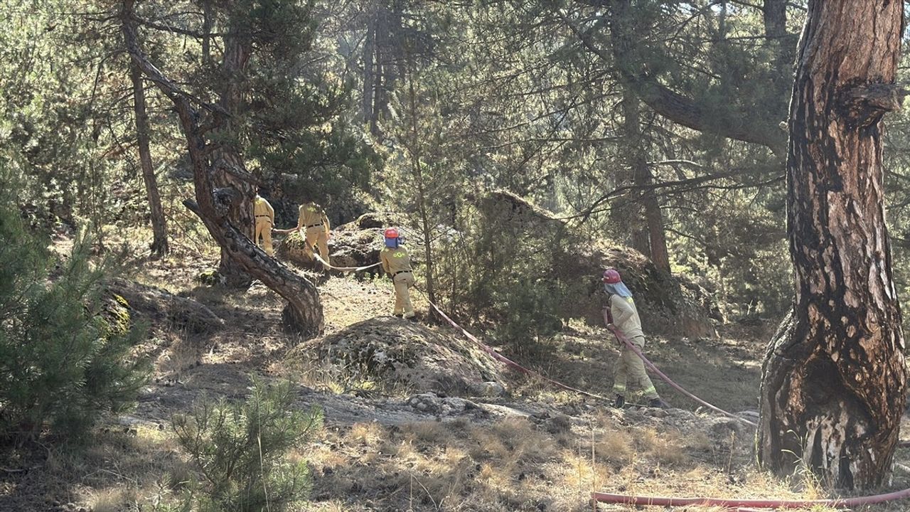 Afyonkarahisar Valiliği Orman Yangınını Kontrol Altına Aldı