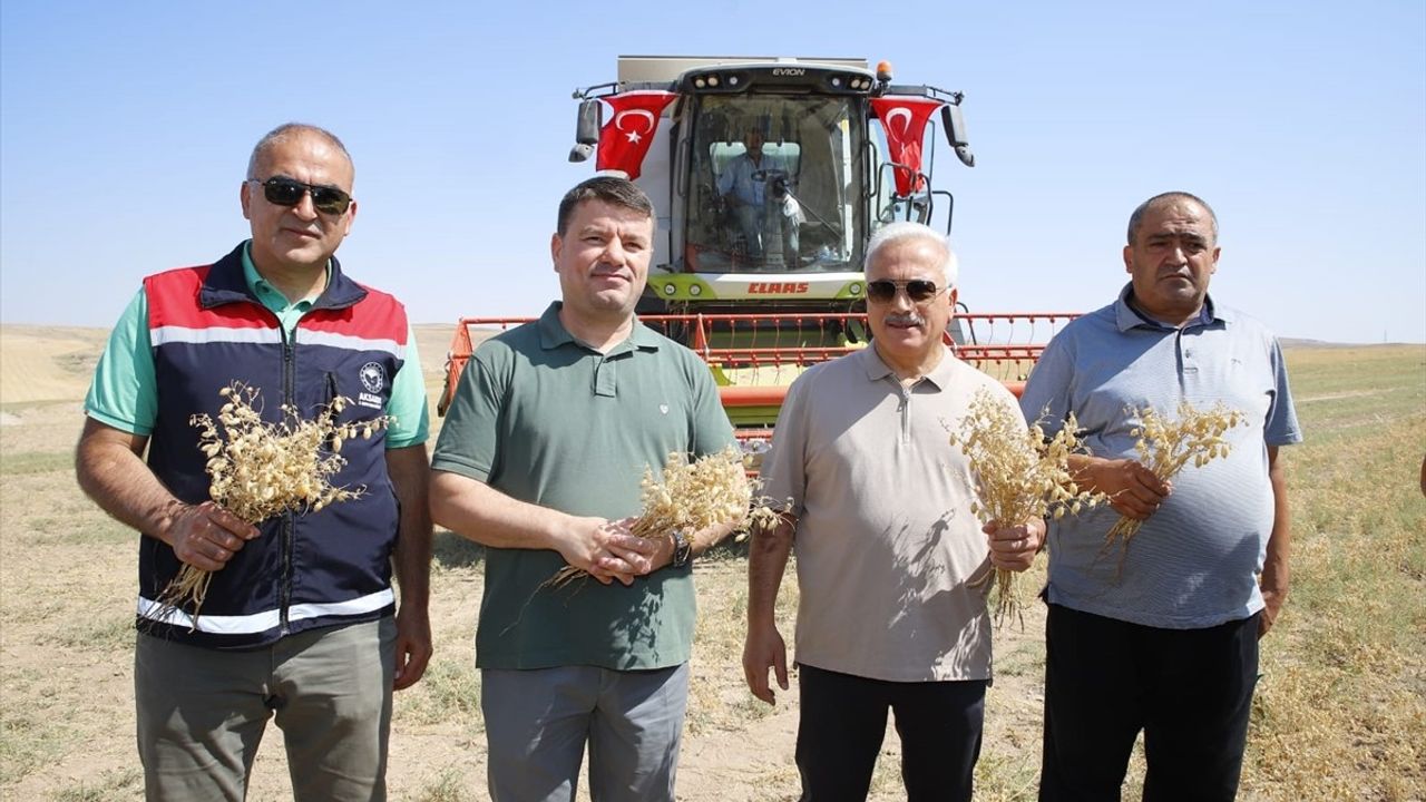 Aksaray'da Nohut Hasadı İhtiyaç Sahiplerine Dağıtılacak