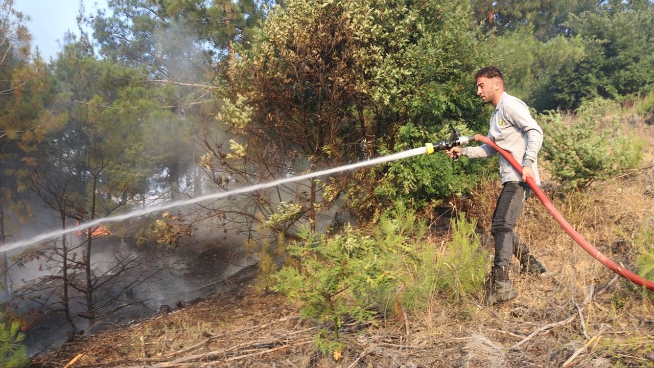 Amasya'da Orman Yangını Kontrol Altına Alındı