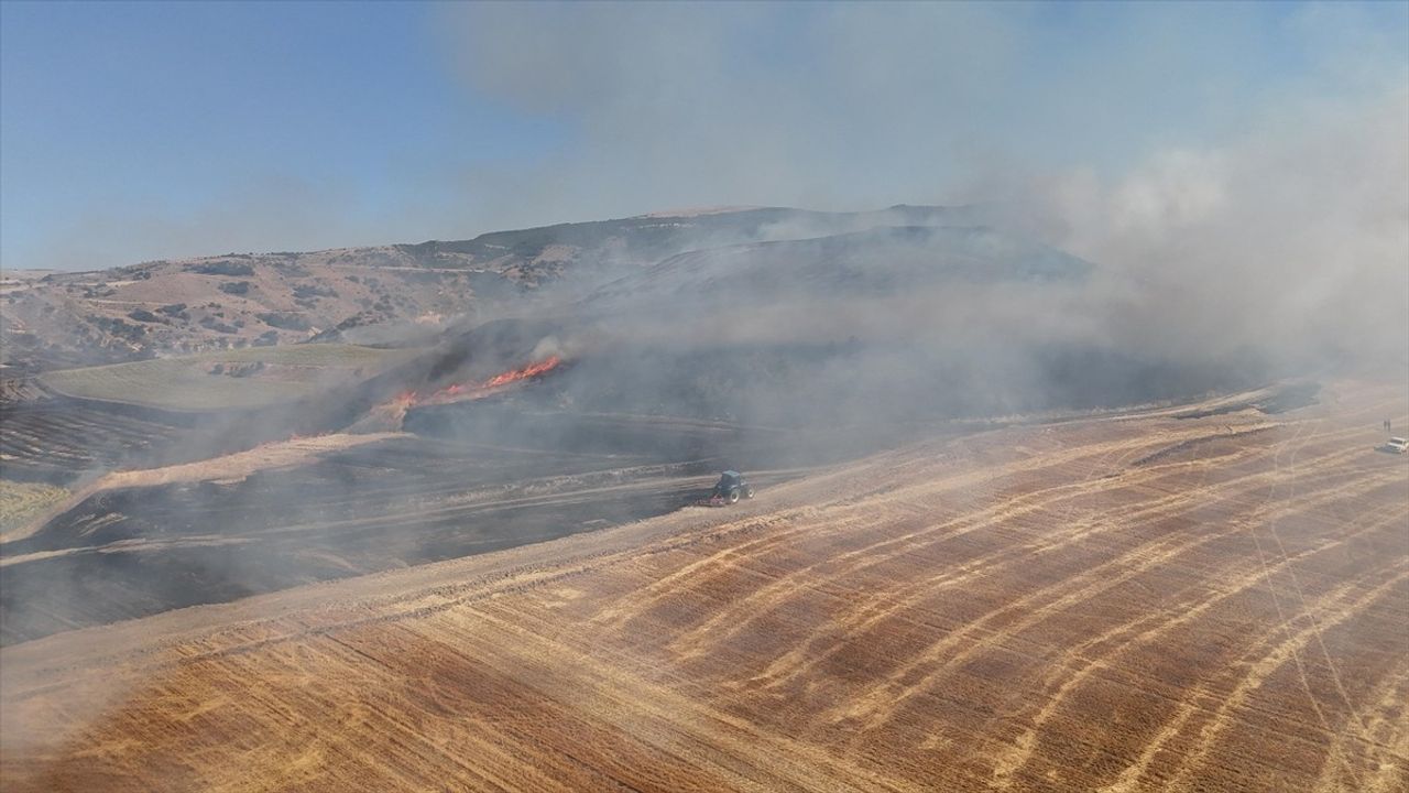 Amasya Tarım Arazisinde Çıkan Yangın Kontrol Altına Alındı