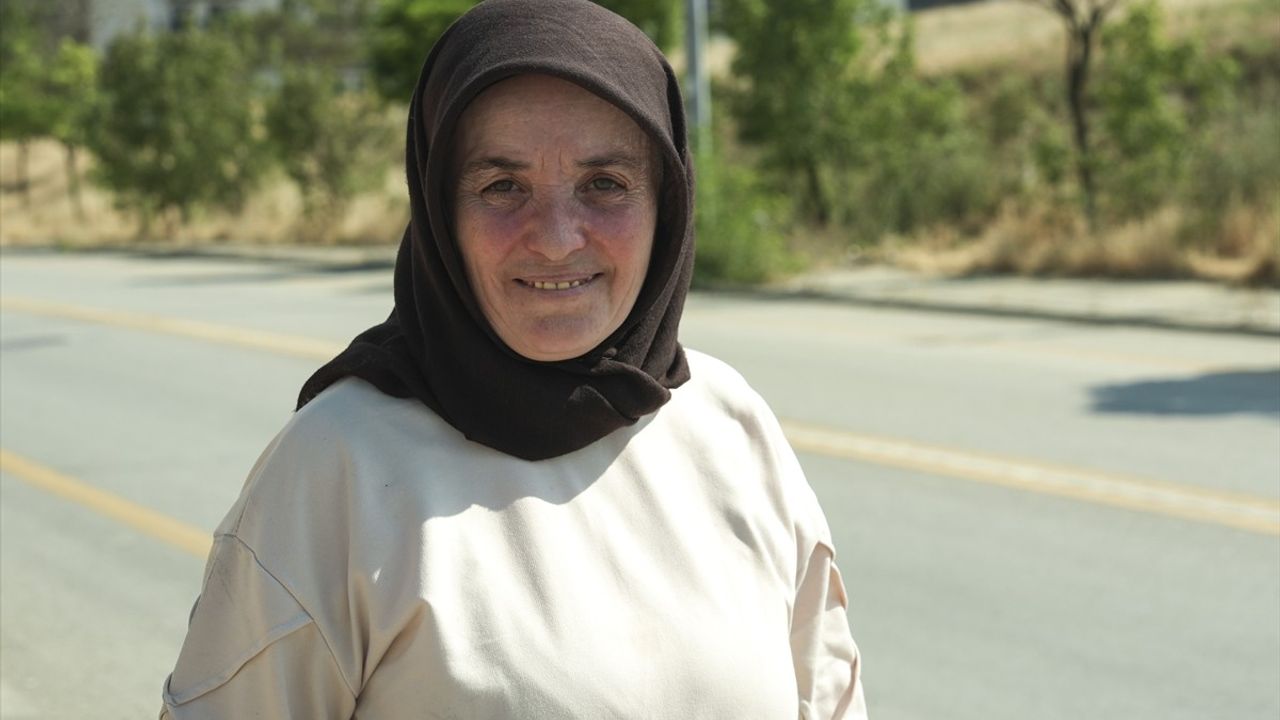 Ankara'da Sahipsiz Köpeklerin Saldırısı: Genç Koşarak Kurtuldu