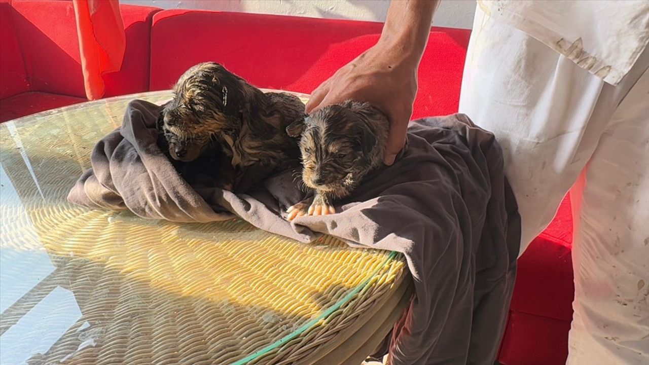 Ankara'da Yangın: 8 Gecekondu Kullanılamaz Hale Geldi