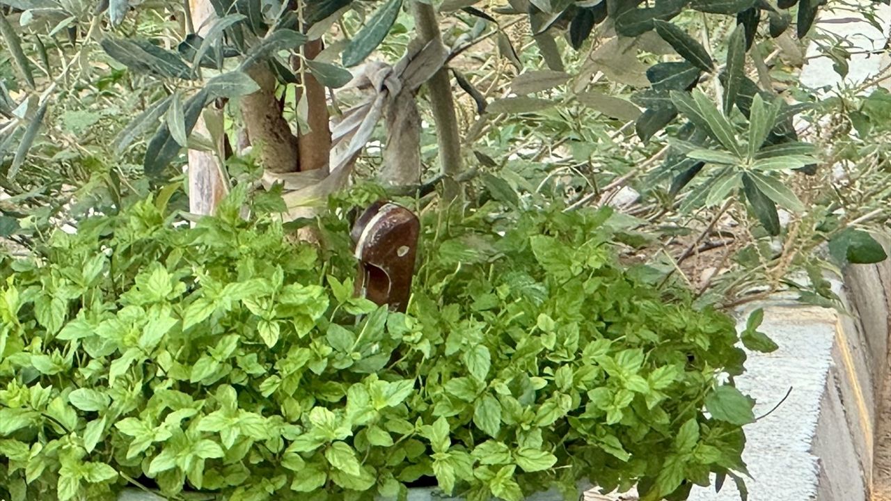 Antalya'da Bıçaklanarak Öldürülen Kişinin Şüphelisi Gözaltına Alındı