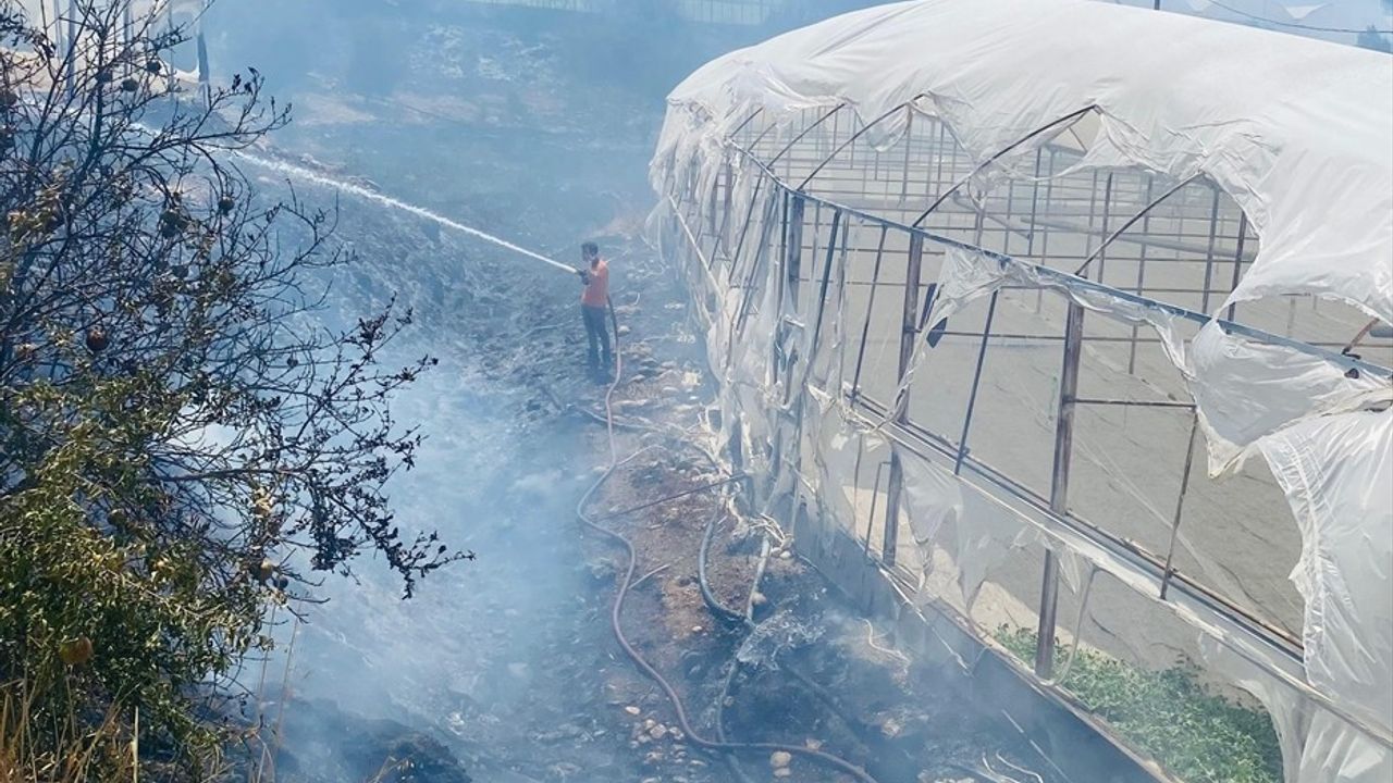 Antalya'da Çalılık Alanda Çıkan Yangın Seraları Tehdit Etti