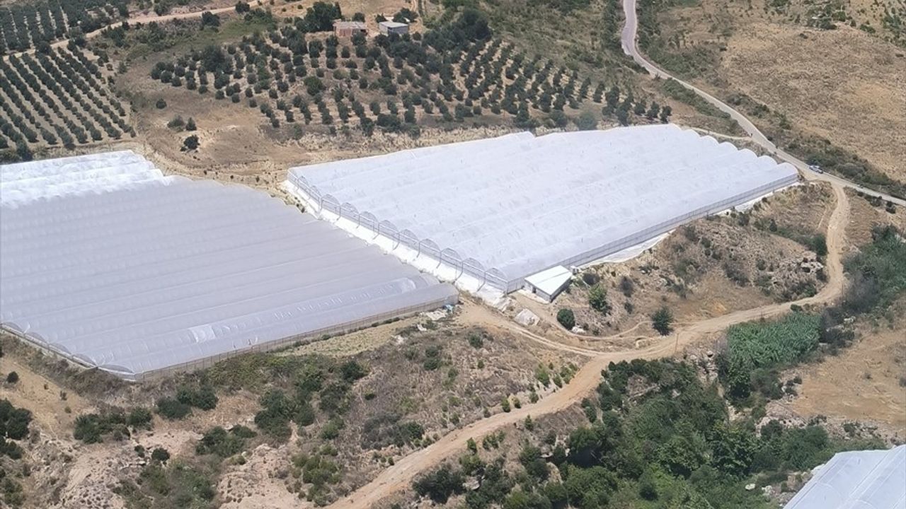 Antalya'da Makilik Alanda Yangın: Hızla Müdahele Ediliyor