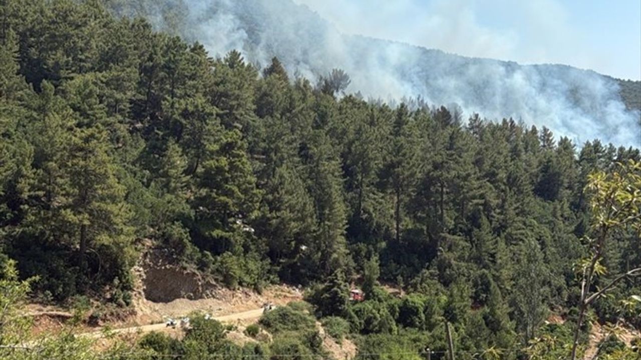 Antalya Kaş'ta Orman Yangınına Hızla Müdahale Ediliyor