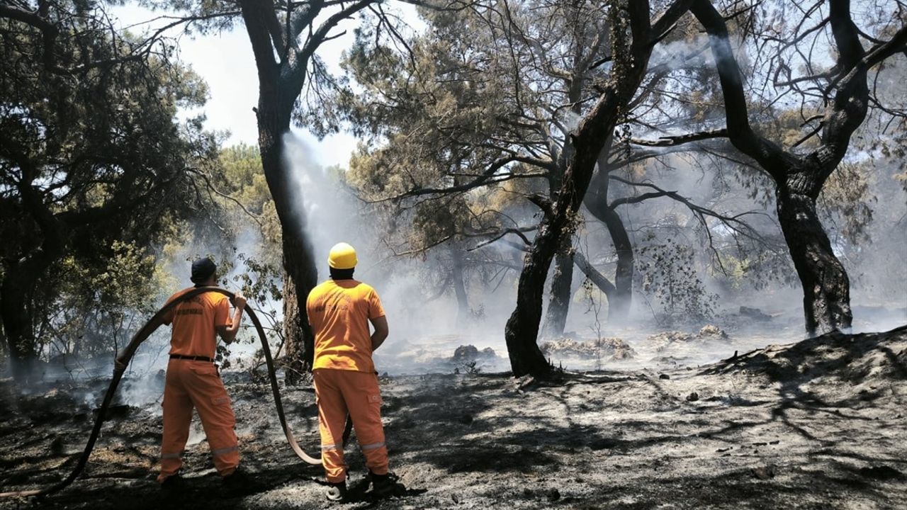 Antalya Muratpaşa'da Orman Yangınına Hızlı Müdahale