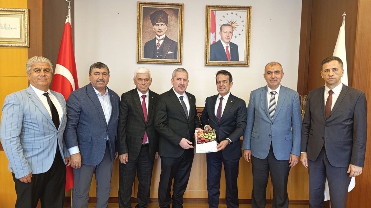 Antalya Tarım Konseyi'nden Yaş Meyve Sebze Sektörü Raporu