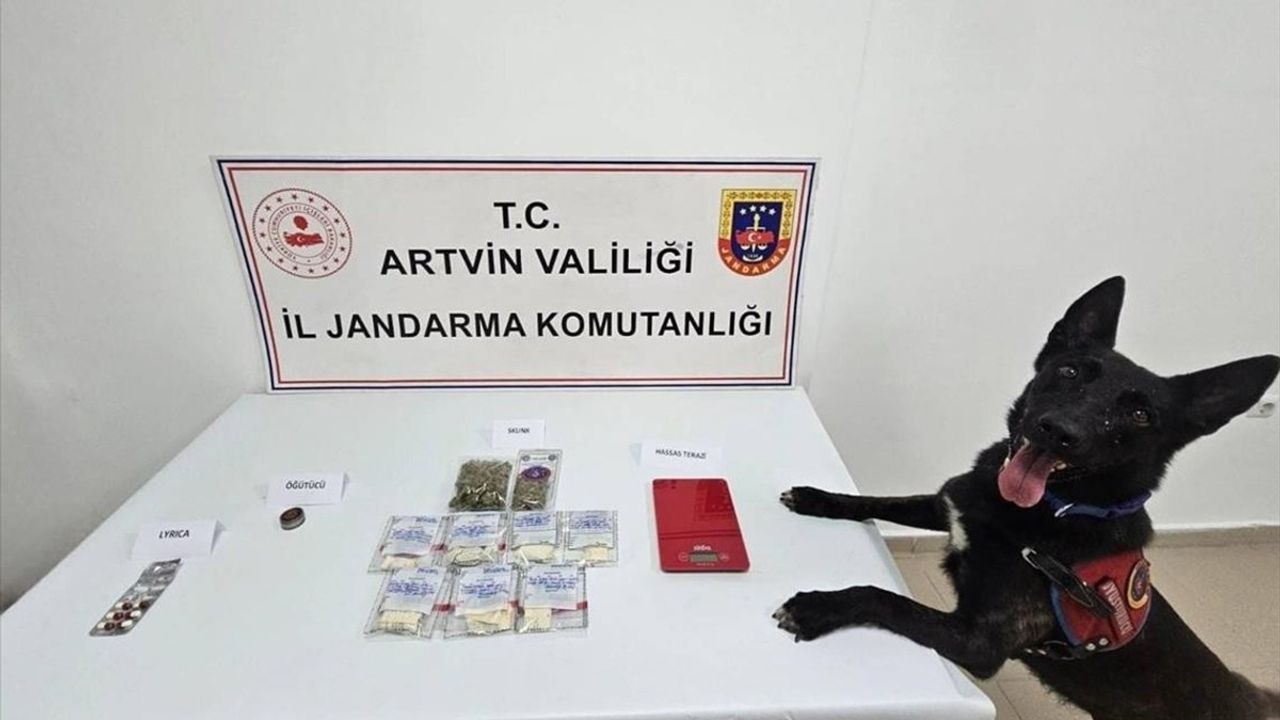 Artvin'de Uyuşturucu Operasyonu: 2 Zanlı Tutuklandı