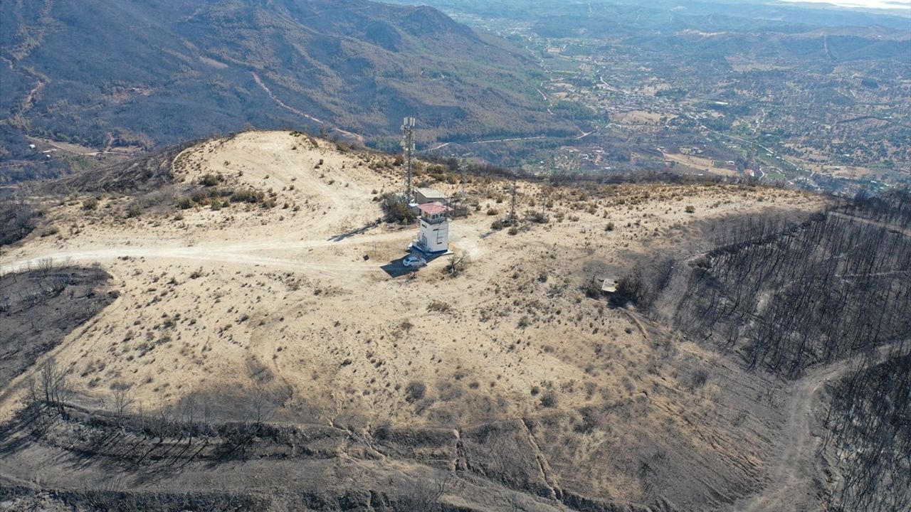Ateşin Ortasında Görevini Terk Etmeyen Cesur Orman Görevlisi