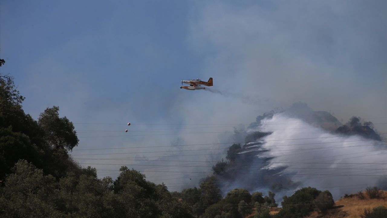 Aydın'da Ağaçlık Alanda Yangın: Havadan ve Karadan Mücadele Başlatıldı
