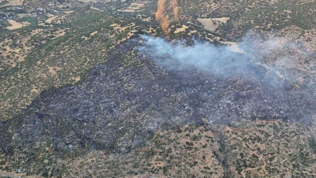 Aydın'da Makilik Alanda Çıkan Yangın Kontrol Altına Alındı