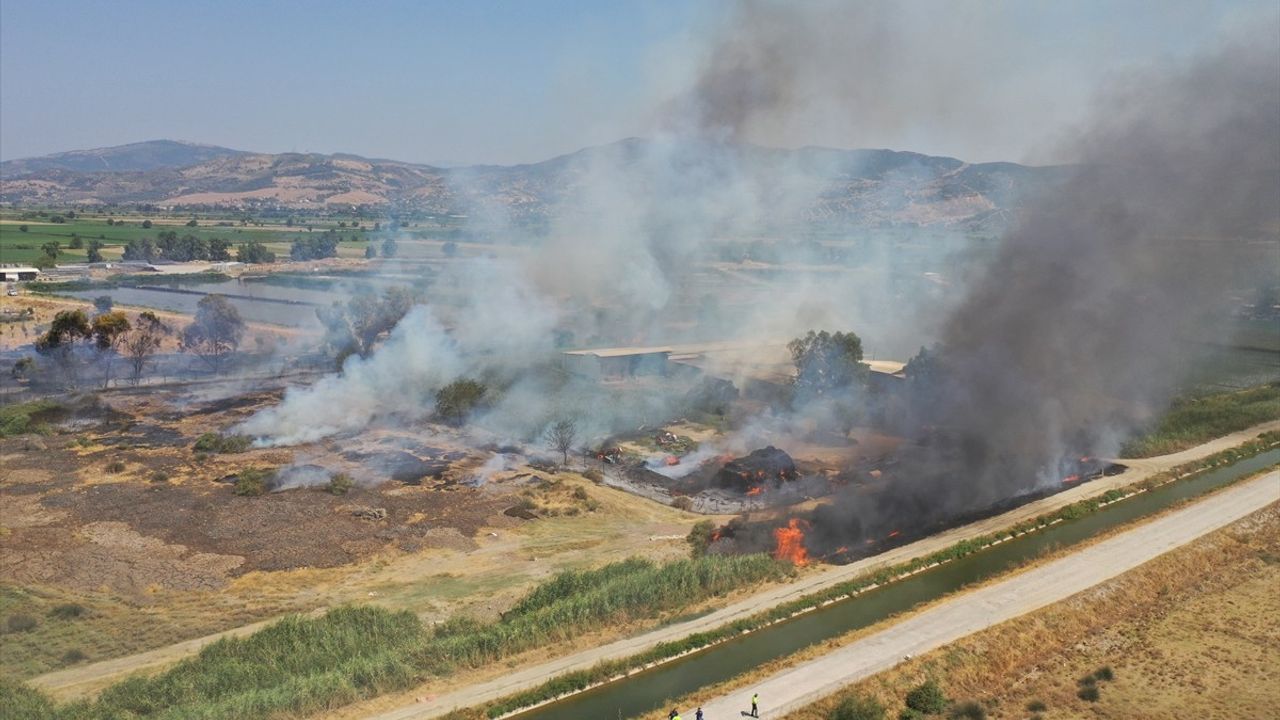 Aydın'da Otluk Alanda Çıkan Yangın Kontrol Altına Alındı
