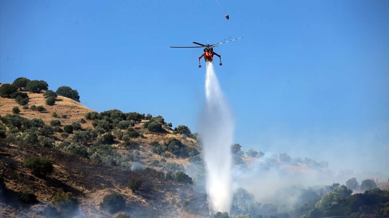 Aydın'da Zeytinlik Yangını: Baba ve Oğul Gözaltında