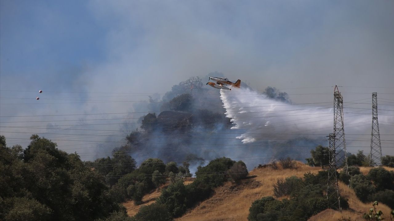 Aydın'daki Yangın Kontrol Altına Alındı