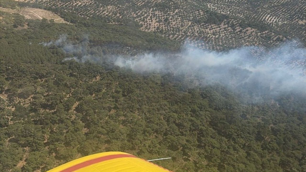 Balıkesir'de Arazi ve Orman Yangınlarına Hızla Müdahale Ediliyor