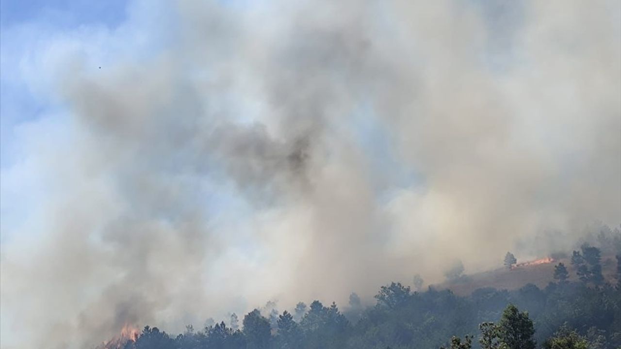 Balıkesir'de Orman Yangınına Hızla Müdahale Ediliyor