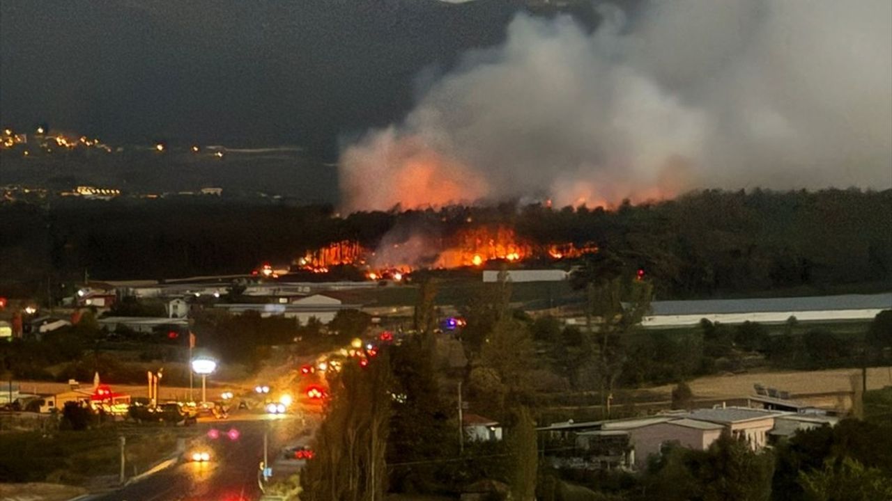 Balıkesir'de Tavuk Çiftliği Yangınında 2 Zanlı Tutuklandı