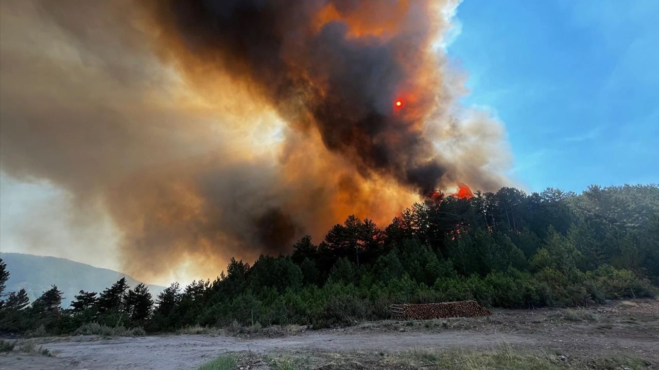 Balıkesir'deki Orman Yangınına Ekiplere Yeniden Güncelleme
