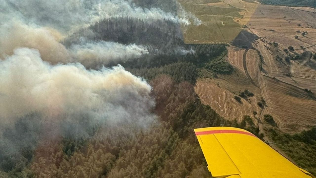 Balıkesir'deki Orman Yangınına Hızla Müdahale Ediliyor