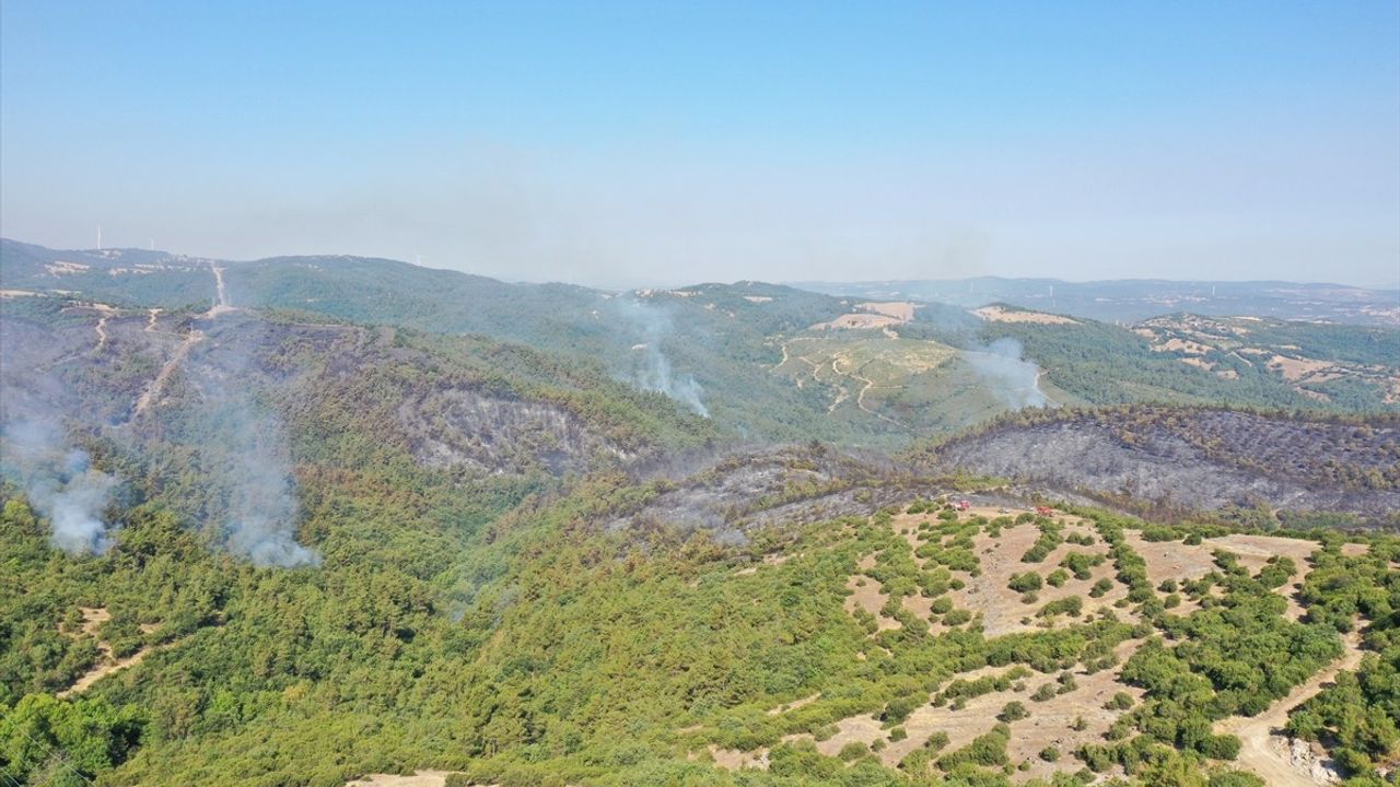 Balıkesir'deki Orman Yangınına Müdahale Devam Ediyor