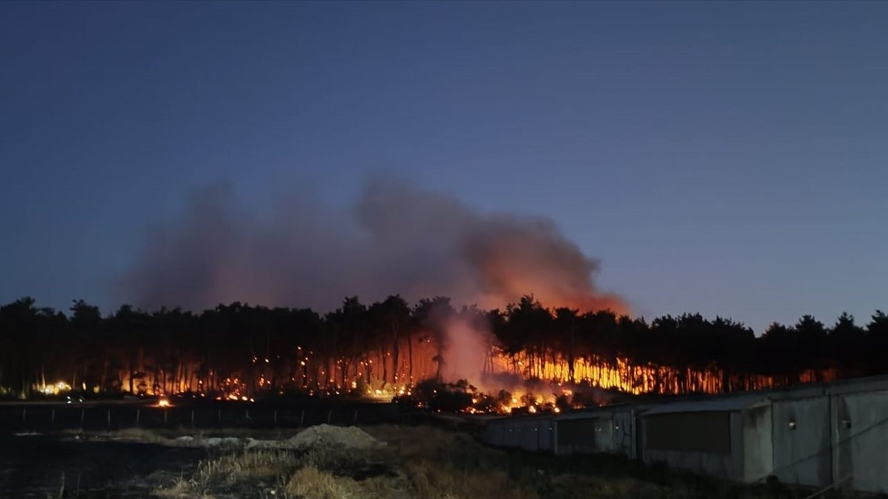 Balıkesir'deki Tavuk Çiftliğinde Yangın Kontrol Altına Alındı