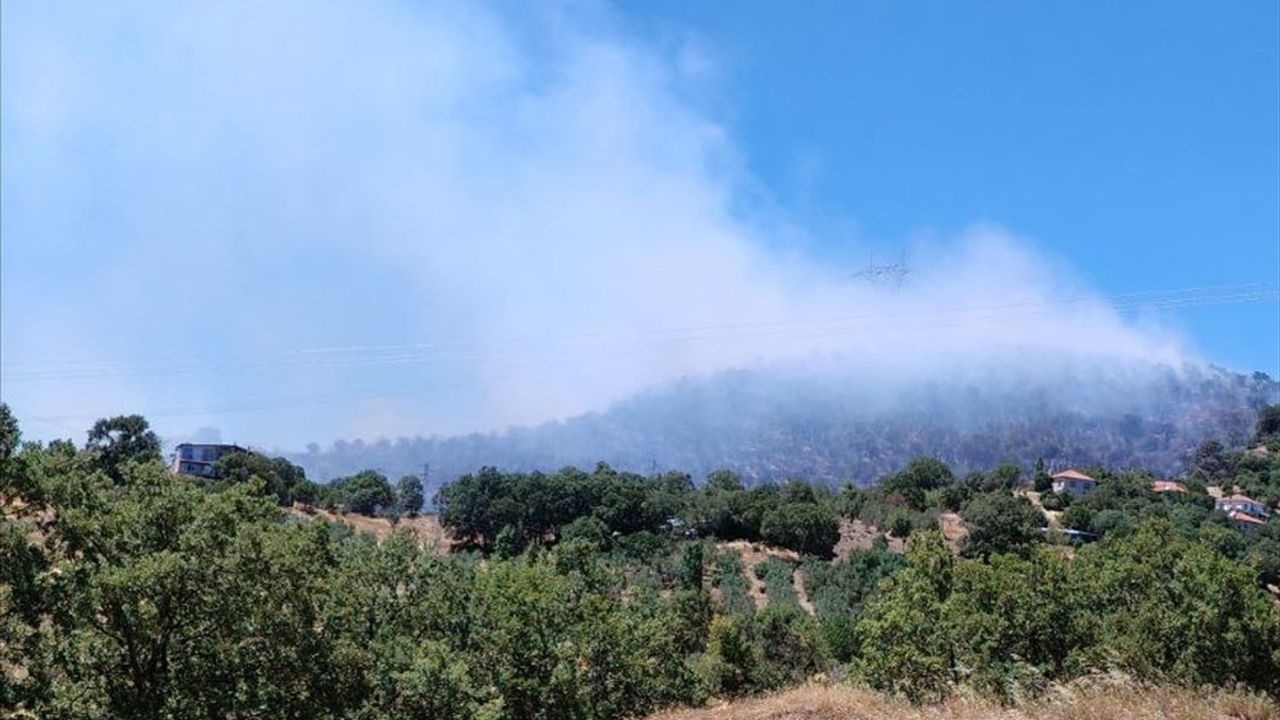 Balıkesir Savaştepe'de Orman Yangınına Hızla Müdahale Ediliyor