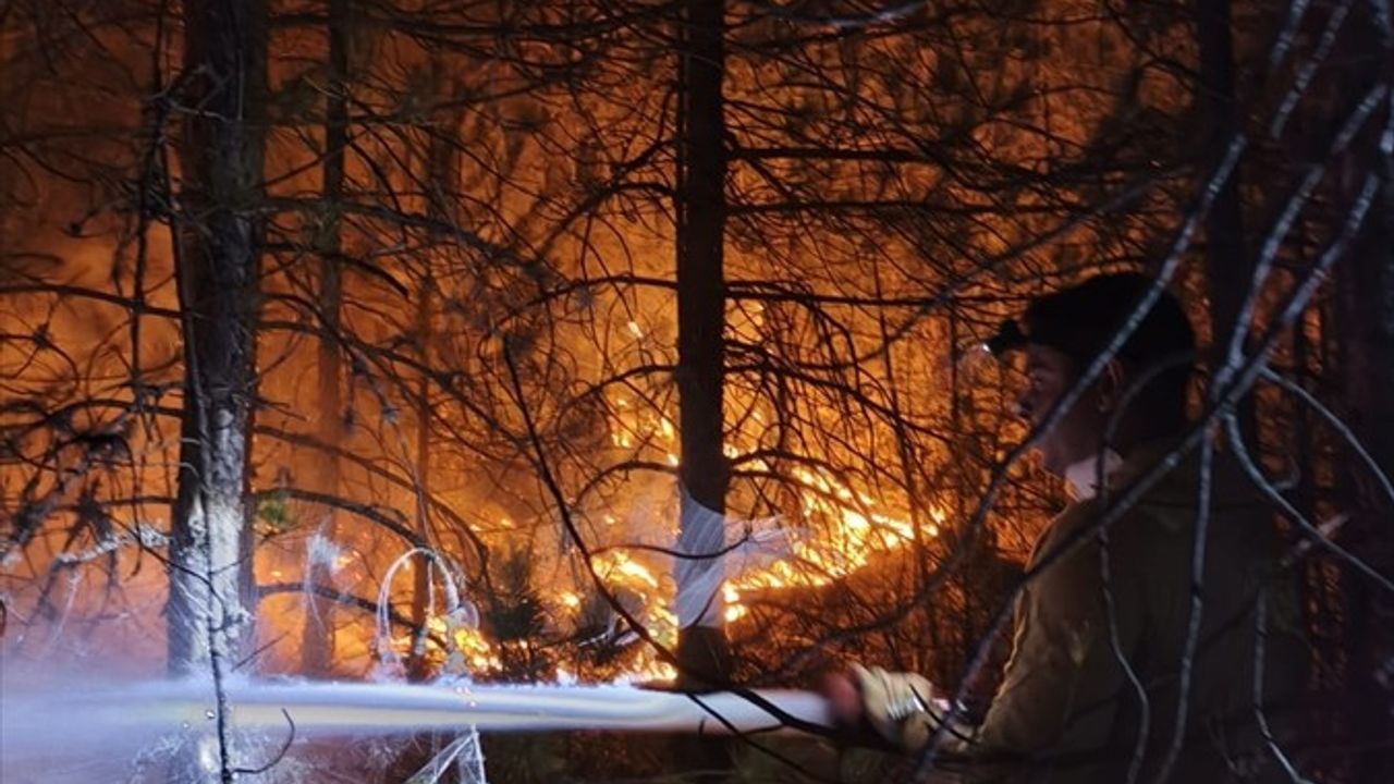 Balıkesir Sındırgı'daki Orman Yangınına Hızla Müdahale Ediliyor