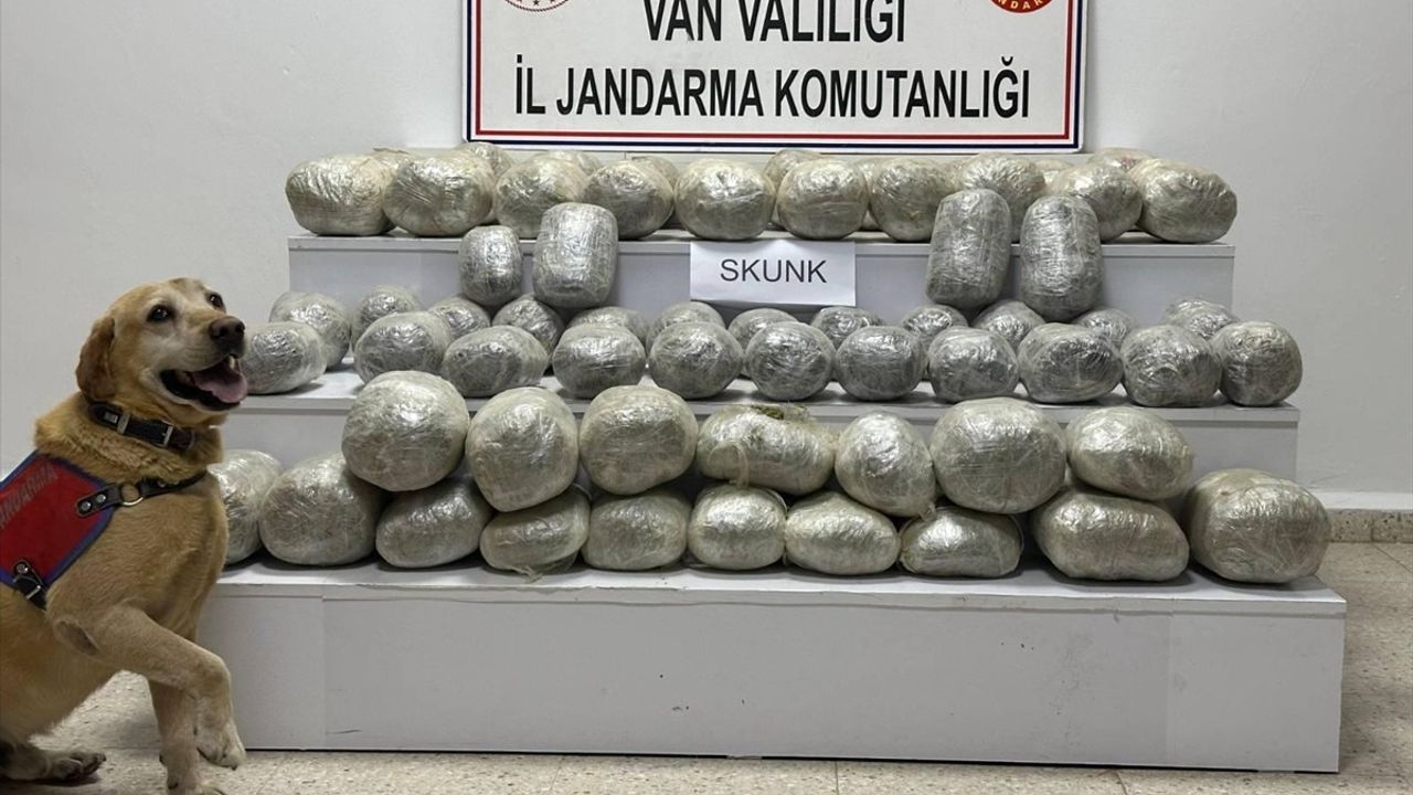 Başka bir uyuşturucu şebekesi çökertildi: 97 kg sentetik uyuşturucu ele geçirildi