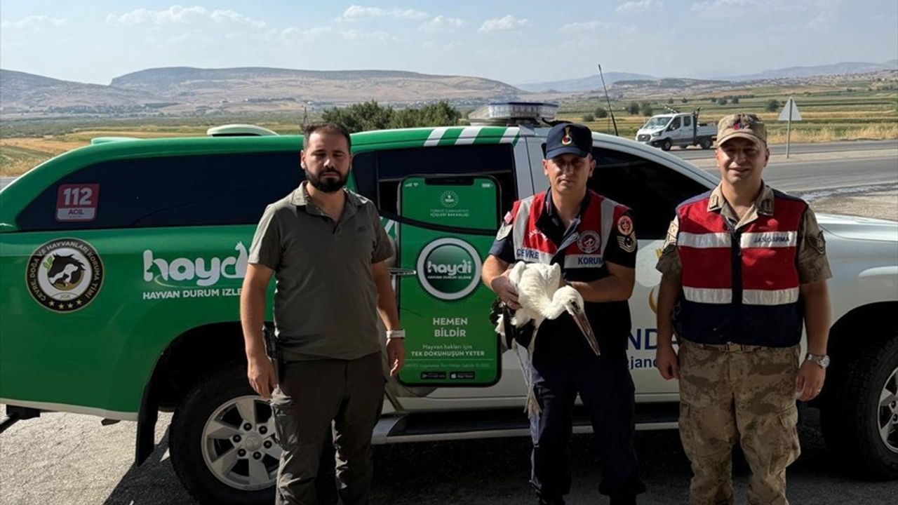 Batman'da Yaralı Leyleğe Jandarma Şefkati