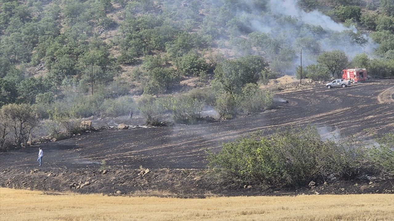 Bayat'ta Anız Yangını Ormana Sıçradı, Ekipler Hızla Müdahale Etti