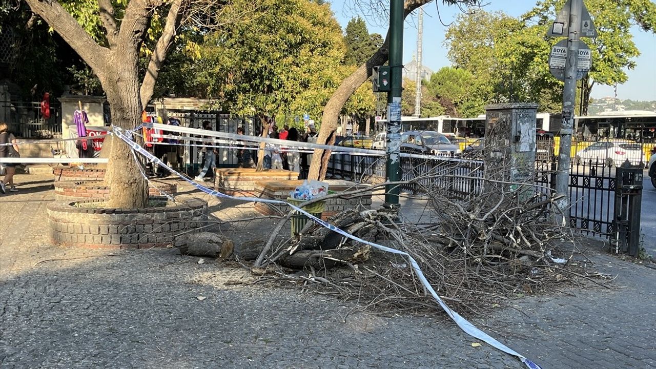 Beşiktaş’ta Ağaç Dalı Düşmesi: 3 Yaralı