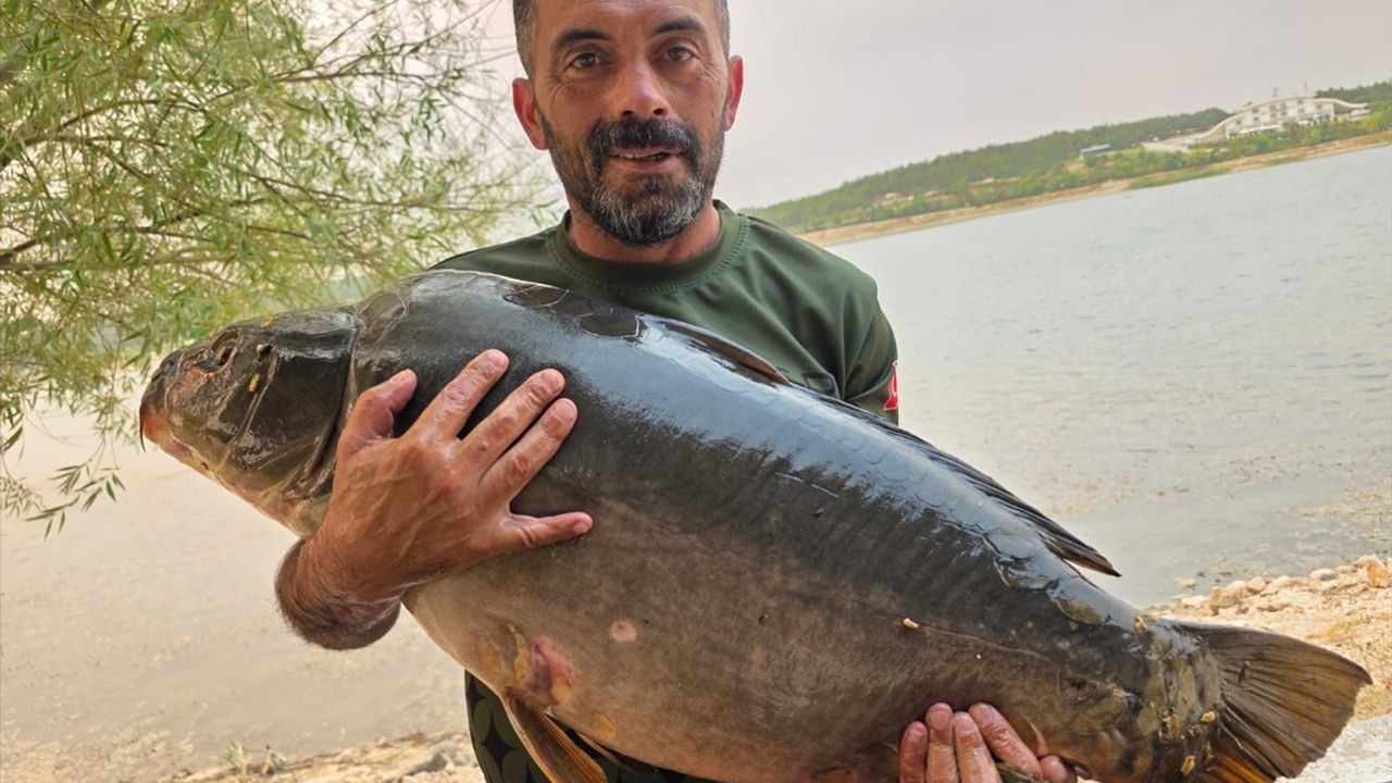 Bilecik'te 28 Kilo 600 Gramlık Sazan Avlandı