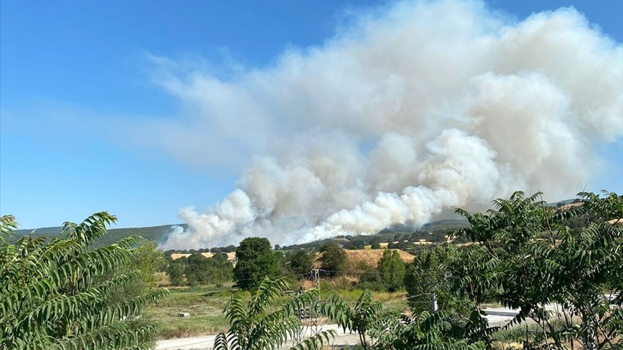 Bilecik'te Anız Yangını Ormana Sıçradı: Havadan ve Karadan Müdahale Başlatıldı