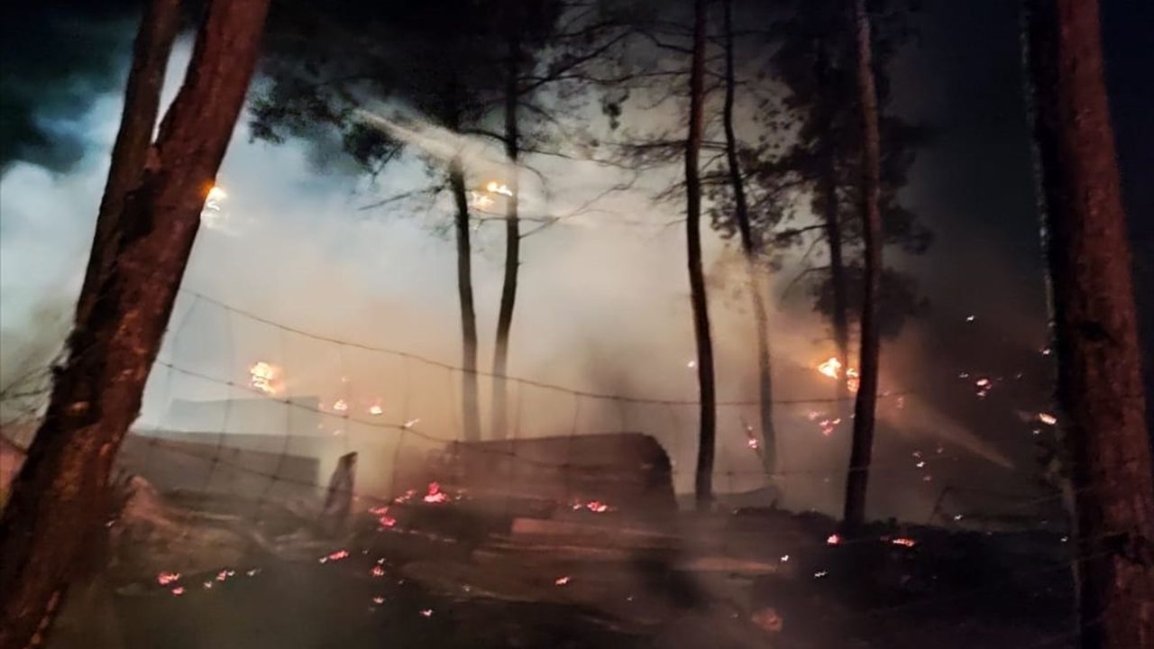 Bilecik'te Çiftlik Yangını: 95 Küçükbaş Hayvan Telef Oldu