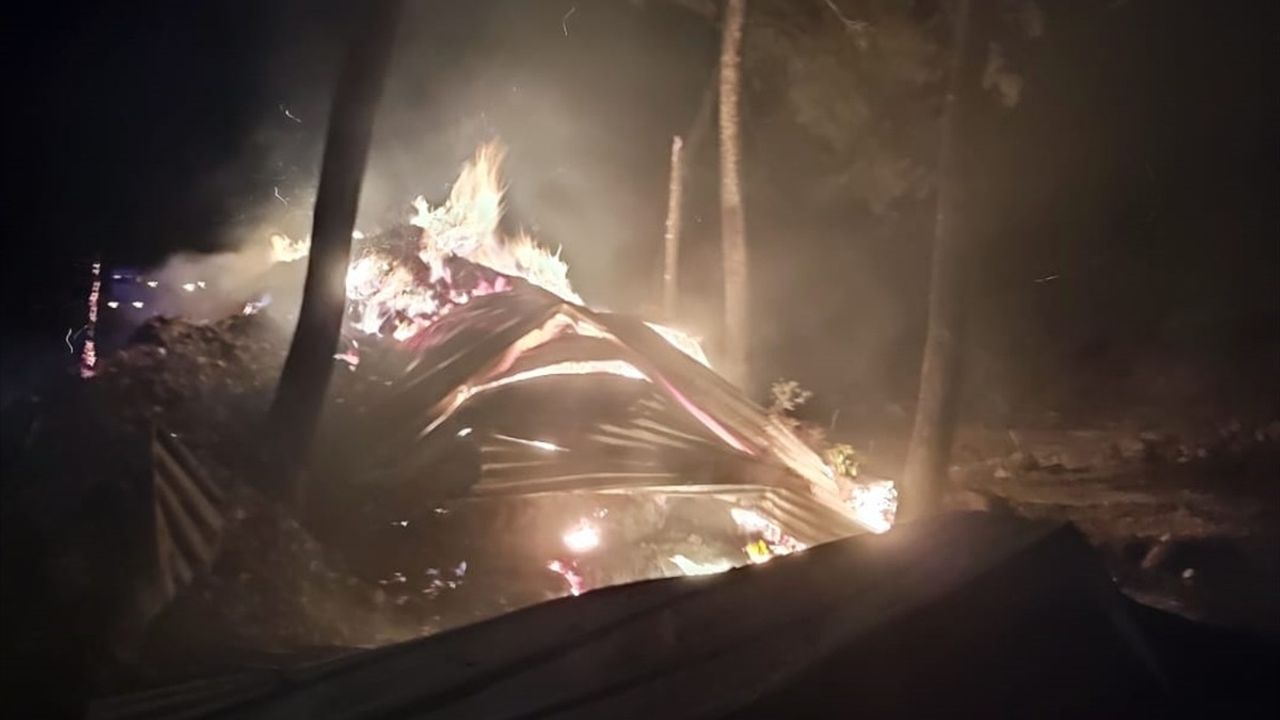 Bilecik'te Çiftlikten Ormana Sıçrayan Yangın Kontrol Altına Alındı