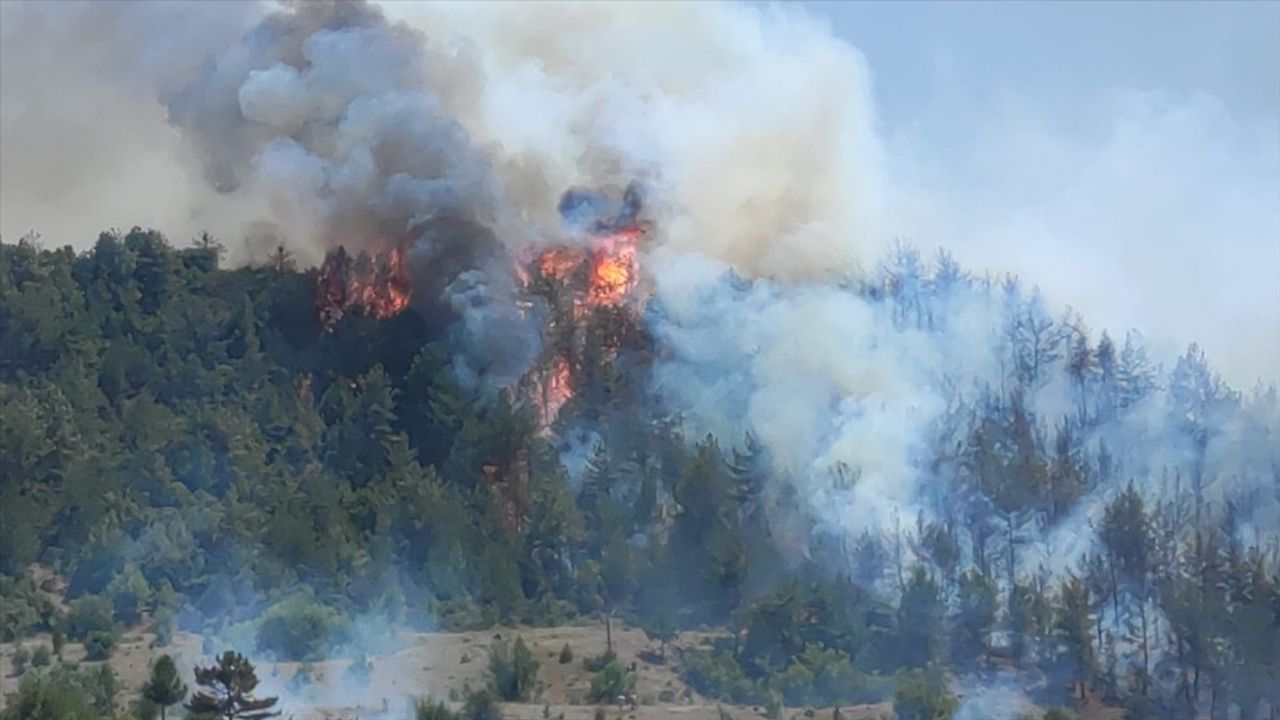 Bilecik'te Orman Yangınına Hızlı Müdahale Başlatıldı