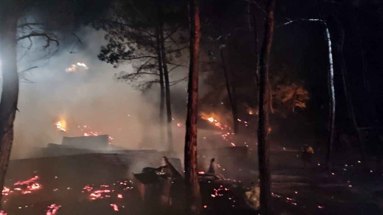 Bilecik'te Yangında 95 Küçükbaş Hayvanını Kaybeden Girişimcinin Genetik Çalışmaları Yok Oldu