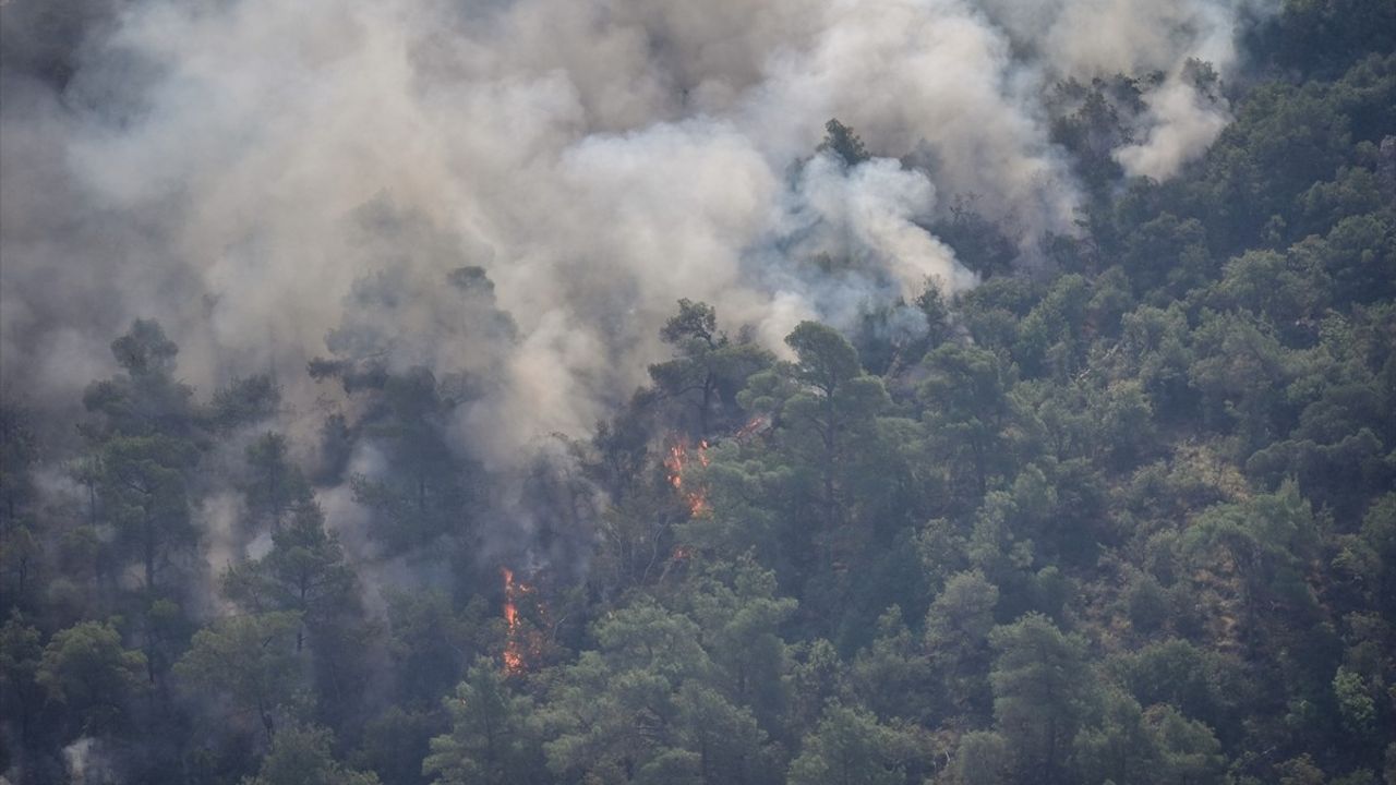 Bilecik Yöresinde Devam Eden Orman Yangınına Mücadele Sürüyor