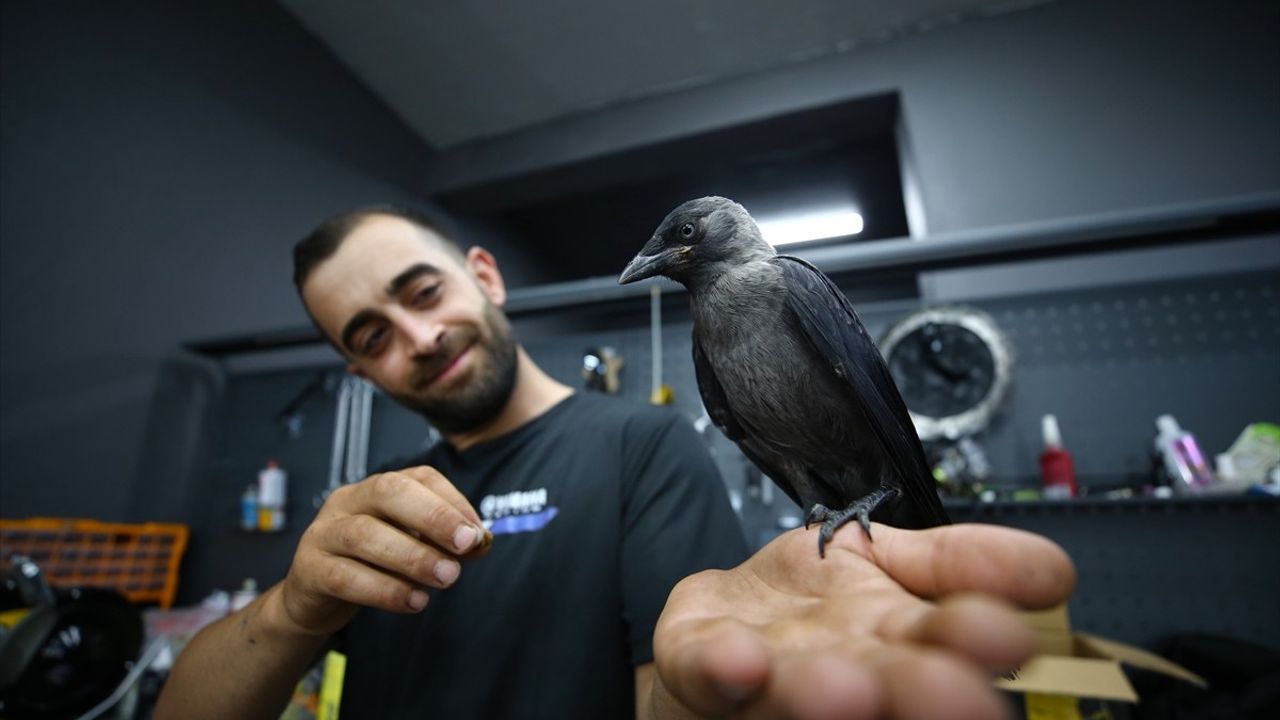 Bingöl'de Motosiklet Teknisyeninin Karga Dostluğu: Şimşek